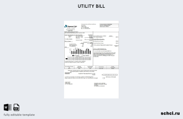 скачать в цифровом формате, США, Пенсильвания, Duquesne Light Company, шаблон сч
